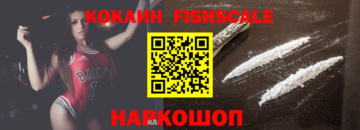 Cocaine Перу  Вход с VPN  Павлово  Cocaine Fish Scale 
