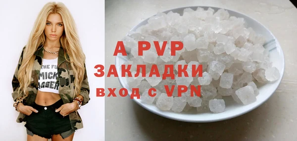 индика Алексин
