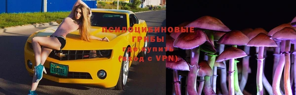 PSILOCYBIN Алзамай