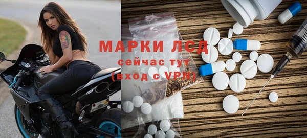 индика Алексин