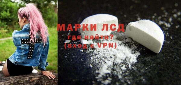 PSILOCYBIN Алзамай