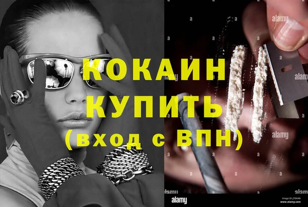 индика Алексин