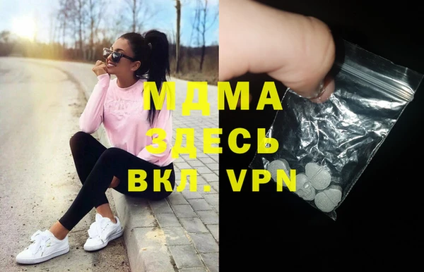 индика Алексин