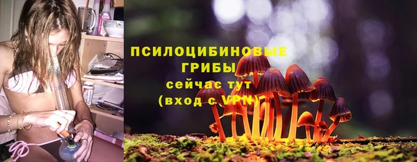 ПСИЛОЦИБИНОВЫЕ ГРИБЫ Алексеевка