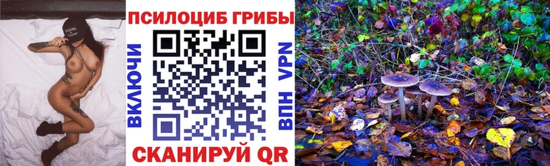 omg вход  Павлово  Псилоцибиновые грибы Cubensis 